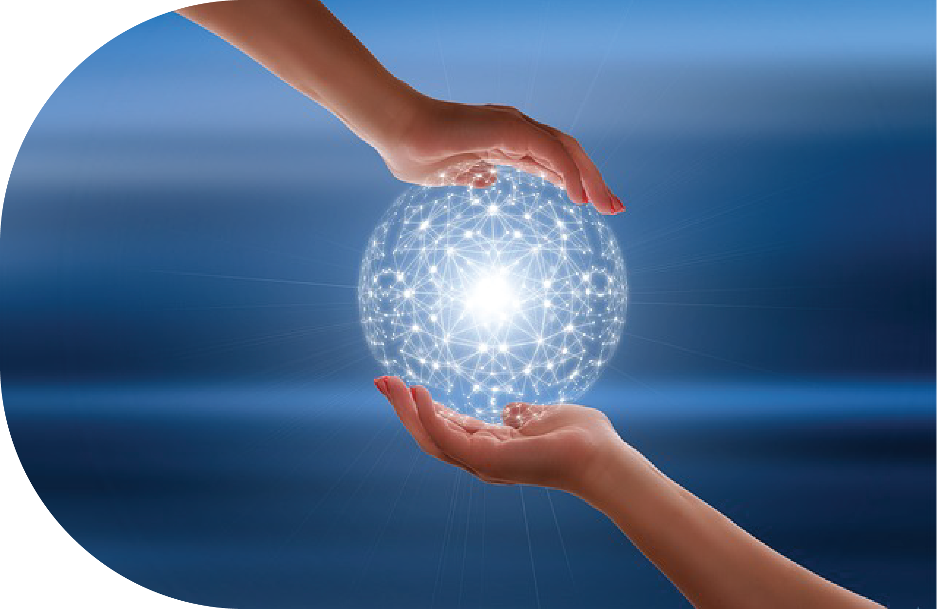 Marketing & Sales Network